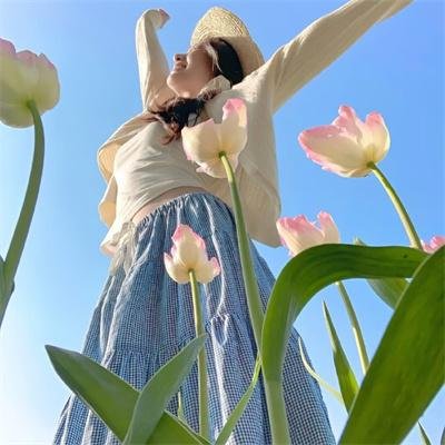 黑之契约者2：流星的双子
